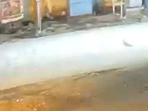 तेज रफ्तार बाइक ठेले से टकराई, लाइव VIDEO: कोरबा में दर्दनाक हादसा निगमकर्मी की मौके पर मौत, पुलिस जांच में जुटी - Korba News