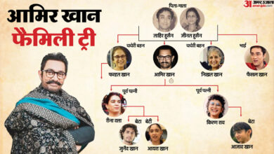 Aamir Khan Family Tree: आमिर के कितने बहन-भाई? दो पत्नियों से हैं तीन बच्चे; अदिति राव हैदरी से भी गहरा रिश्ता