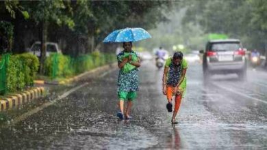 CG Weather News: छत्तीसगढ़ में बारिश की रफ्तार धीमी, उमस से लोग बेहाल; आज कई जिलों में गरज-चमक के आसार