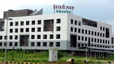 Raipur: आईएफएस ऑफिसर्स का ट्रांसफर; संजीता बनीं राज्य लघु वनोपज संघ की प्रभारी प्रबंध संचालक, देखें सूची