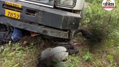 Trailer Accident: रायगढ़ में ट्रेलर ने बाइक सवारों को रौंदा, 2 की मौत, एक गंभीर रूप से घायल | Two Killed In Trailer Accident
