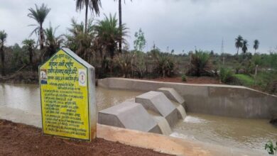 छत्तीसगढ़: जल संरक्षण से बदली किसानों की तस्वीर; राजपुर सामुदायिक चेक डेम बना ग्रामीण समृद्धि का मॉडल