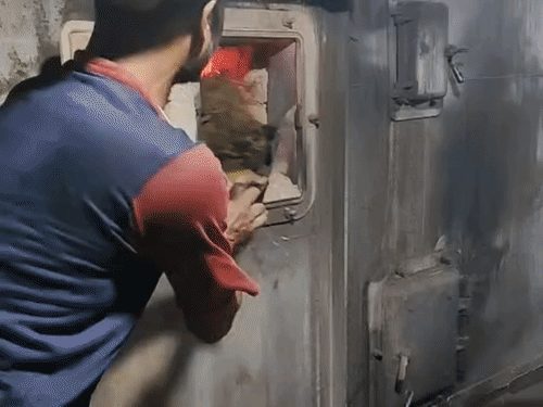 रायपुर पुलिस ने 2.15 करोड़ रुपए से अधिक कीमत के मादक पदार्थ जलाकर नष्ट किए