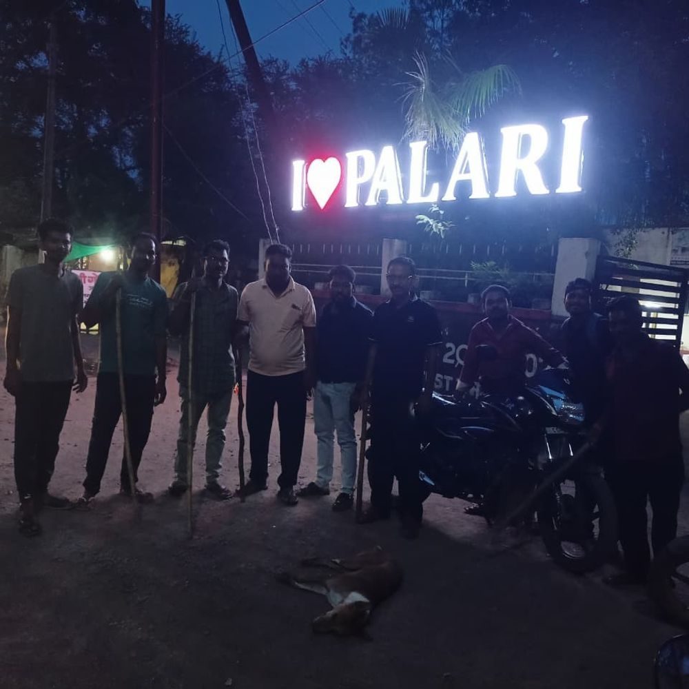 पलारी में पागल कुत्ते का आतंक: 13 लोगों को काटा, देर शाम कुत्ते को मार दिया गया