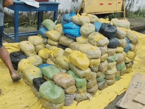 एमसीबी में पुलिस ने 9 क्विंटल 19 किलो गांजा जब्त किया, 4 करोड़ 59 लाख रुपए कीमत, दो महिलाओं समेत 6 गिरफ्तार