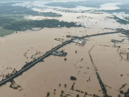 इंद्रावती नदी 50 साल में सबसे ऊंचे स्तर पर, जगदलपुर में बाढ़ का खतरा बढ़ा; 833 लोगों का रेस्क्यू, 65 राहत शिविरों में 8,894 लोग